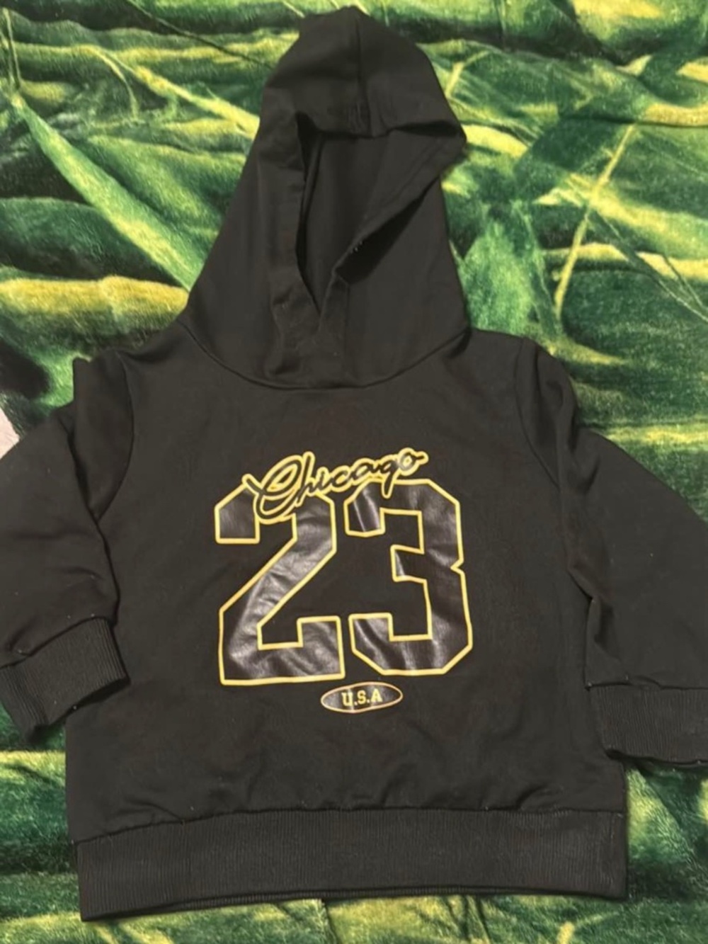 Boy toddler hoodie